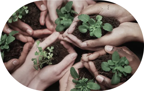 Eco-friendly technologies